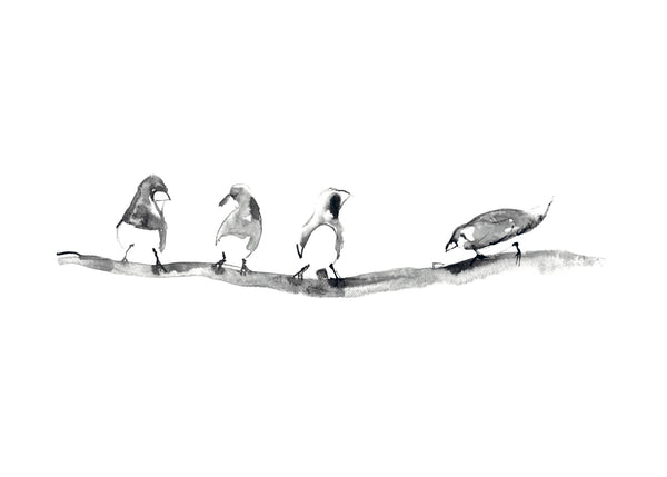 Birds on a wire * Les Vedettes *